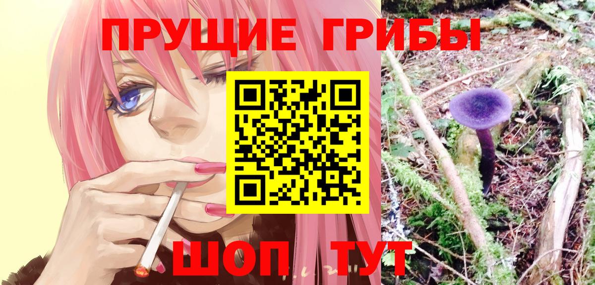 Псилоцибиновые грибы GOLDEN TEACHER  Вход с VPN  Октябрьский 